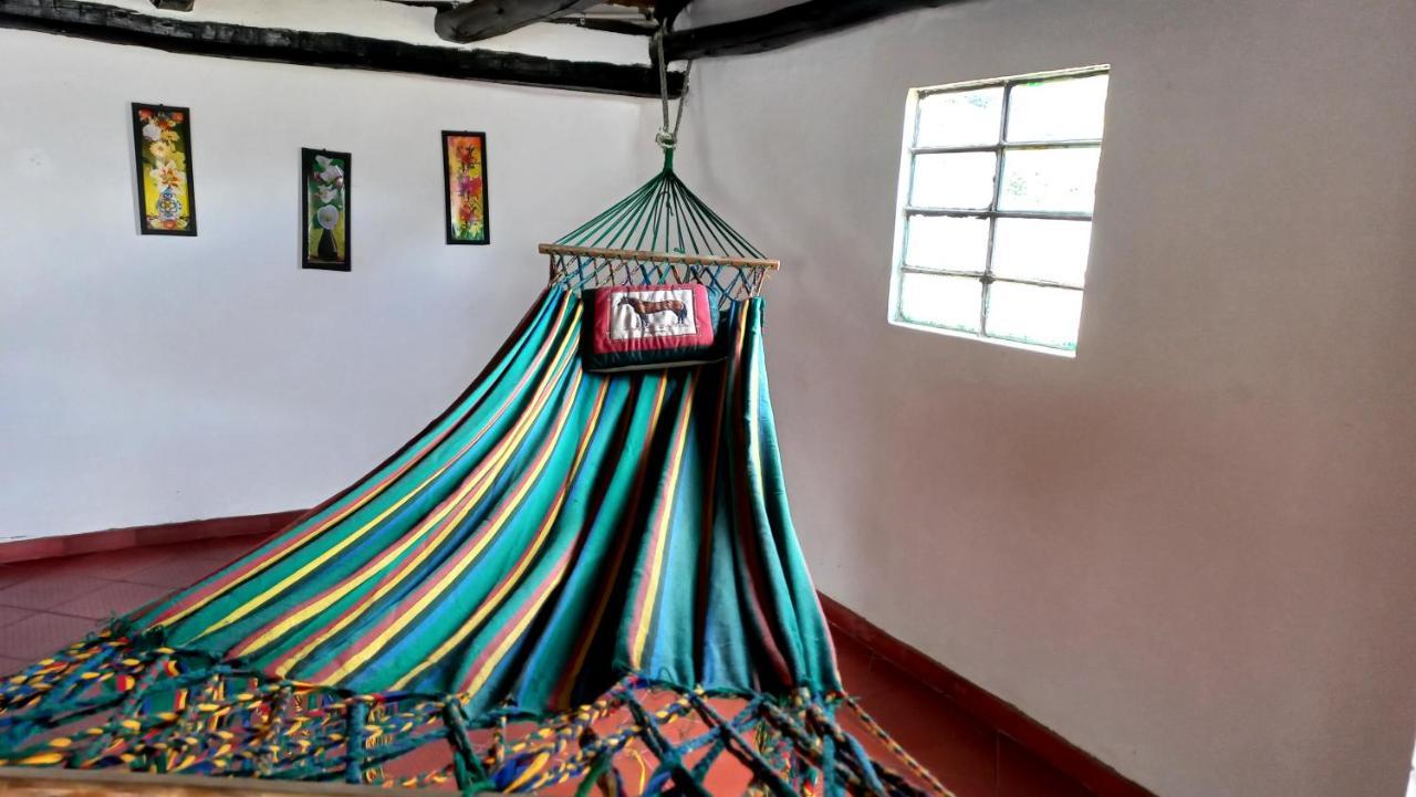Hospedaje Y Camping Del Rio Mongui Ngoại thất bức ảnh