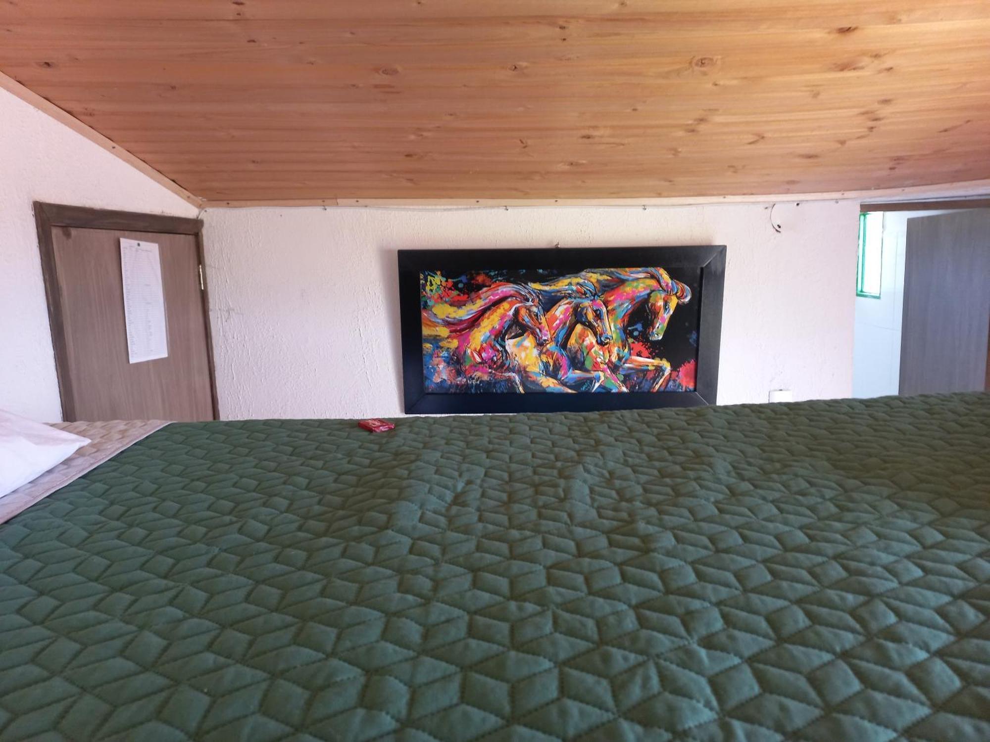 Hospedaje Y Camping Del Rio Mongui Ngoại thất bức ảnh