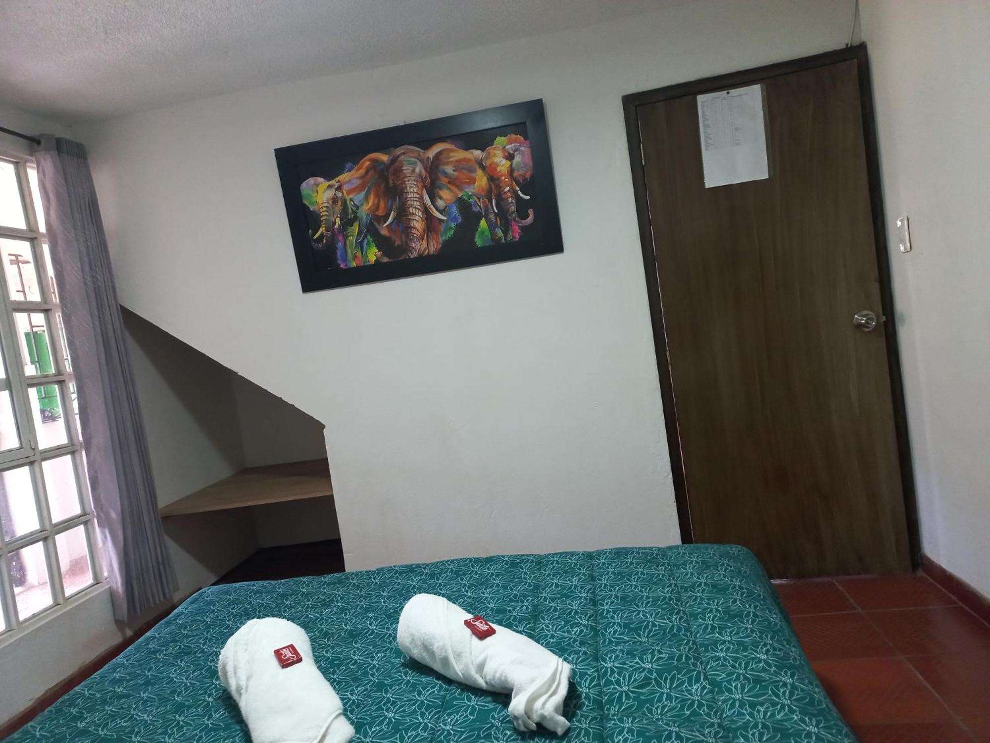 Hospedaje Y Camping Del Rio Mongui Ngoại thất bức ảnh